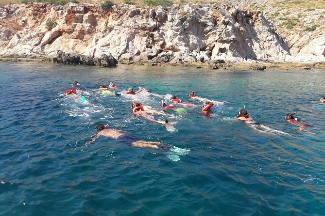 Tavolara Marine Protected Area for Snorkeling - Participant Requirements and Restrictions
