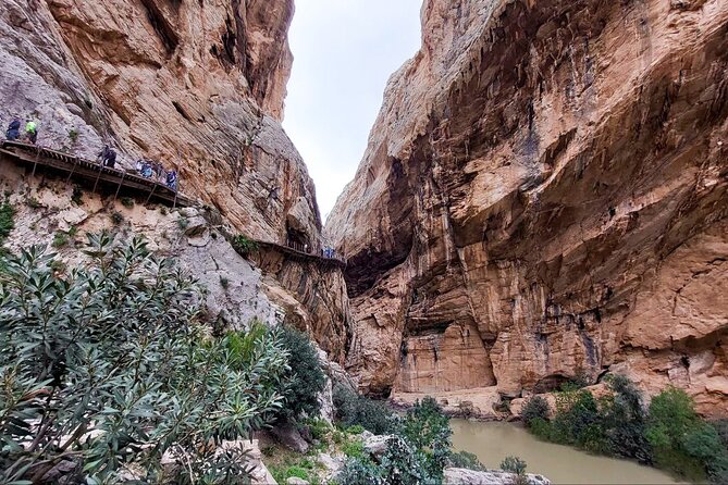 The Caminito Del Rey With Pickup From Málaga City - What to Expect