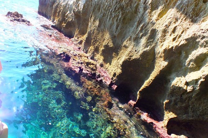 Tour of the Island of Ortigia and Exploration of Sea Caves With Baths. - Escape the Crowds and Heat