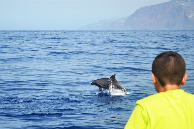 VipDolphins Luxury Whale Watching - Additional Tour Details