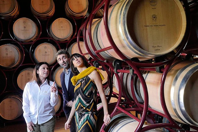 Bolgheri: Classic Wine Tasting With Winery Tour - Booking and Logistics
