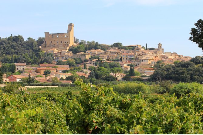 Châteauneuf Du Pape Wine Day Tasting Tour Including Lunch From Avignon - Enjoy 2-Course Lunch