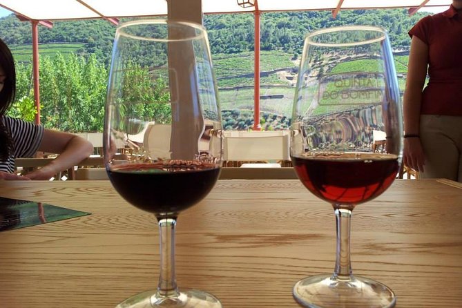 Complete Douro Valley Wine Tour With Lunch, Wine Tastings and River Cruise - Wine Tasting Experiences