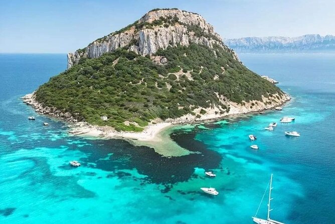 Dolphin Watching Tour With Snorkeling From Olbia - Cancellation Policy