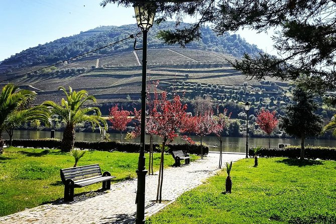 Douro Valley: Food and Wine Small Group Tour From Porto - Cancellation and Refund Policy