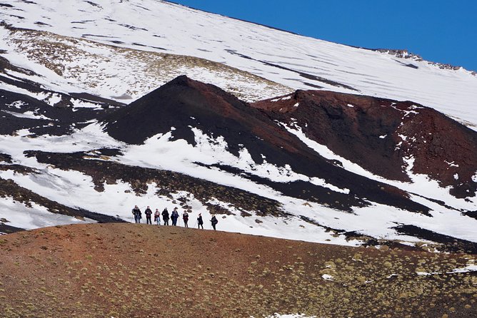 Etna Excursions From Catania - Flexible Tour Schedule and Cancellation Policy