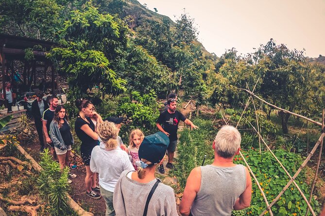 Full Day Rainforest Tour With Tasting and Swimming Time - Visiting the Eco-Farm