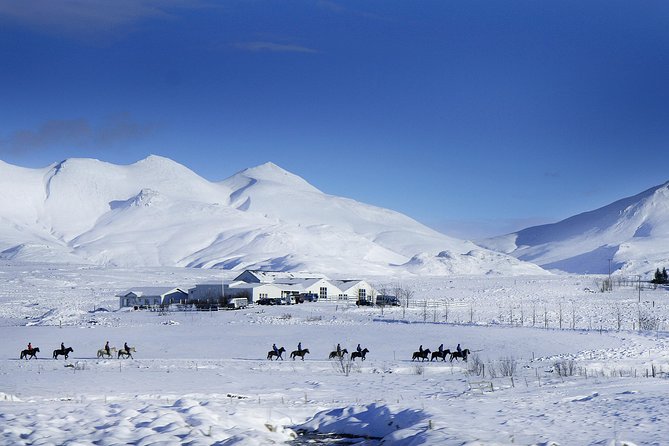Icelandic Horseback Riding Tour Including Pick up From Reykjavik - Pickup for Cruise Ship Passengers