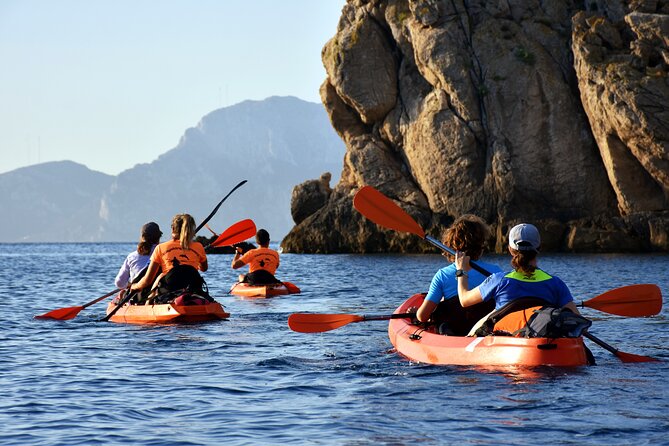 Kayak Tour With Aperitif and Dolphins - Cancellation Policy