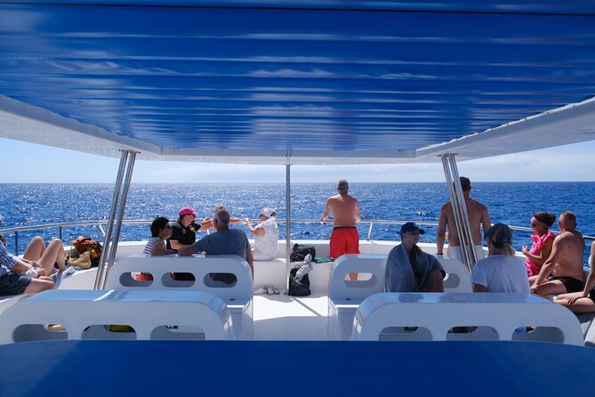 Madeira Dolphin and Whale Watching on a Ecological Catamaran - Onboard Amenities and Lunch