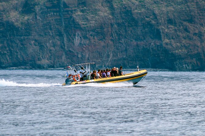 Madeira Dolphin & Whale Watching Tour - Cancellation Policy