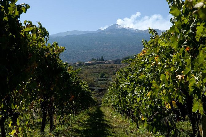 Mt Etna and Wine Tasting Tour From Catania - Pickup and Meeting Point