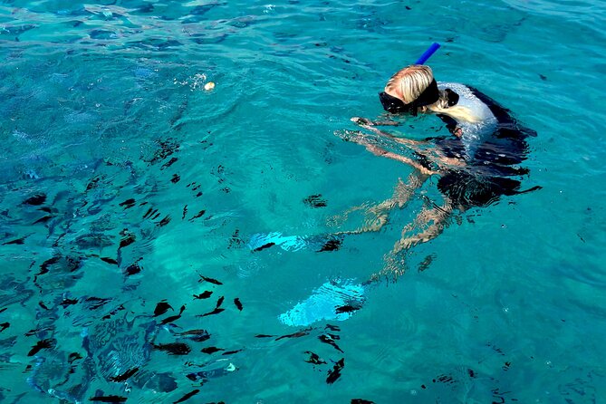 Observation of Dolphins and Snorkeling in a Rubber Boat in Olbia - Meeting Point and Additional Information