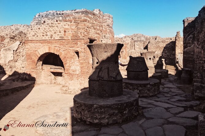 Pompeii Private Tour With an Archaeologist and Skip the Line - Tour Guide Expertise