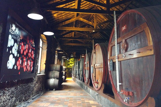 Port Wine Lodges Tour Including 7 Portwine Tastings (English) - Additional Tour Information