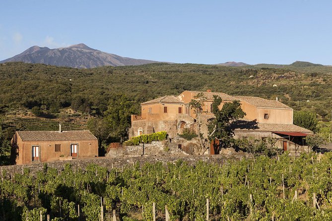 Private 6-Hour Tour of Three Etna Wineries With Food and Wine Tasting - Private Tour Highlights