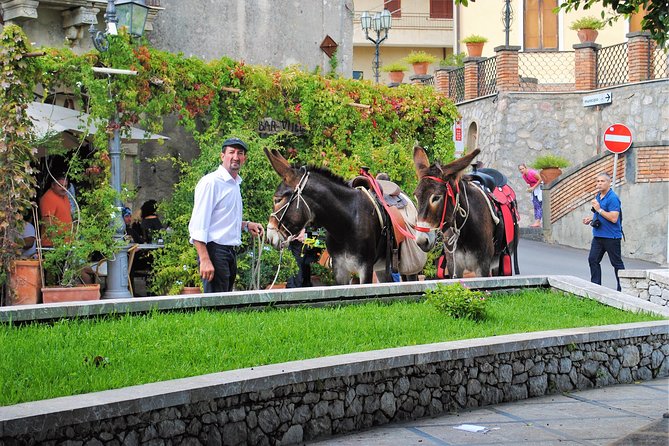 Private and Guided Godfather Tour With Traditional Lunch - Souvenir Photos