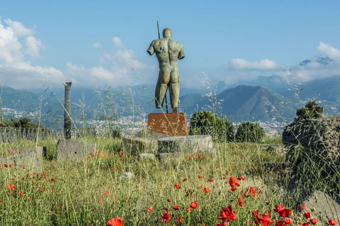 Rome to Pompeii Guided Tour With Wine & Lunch by High Speed Train - Cancellation Policy