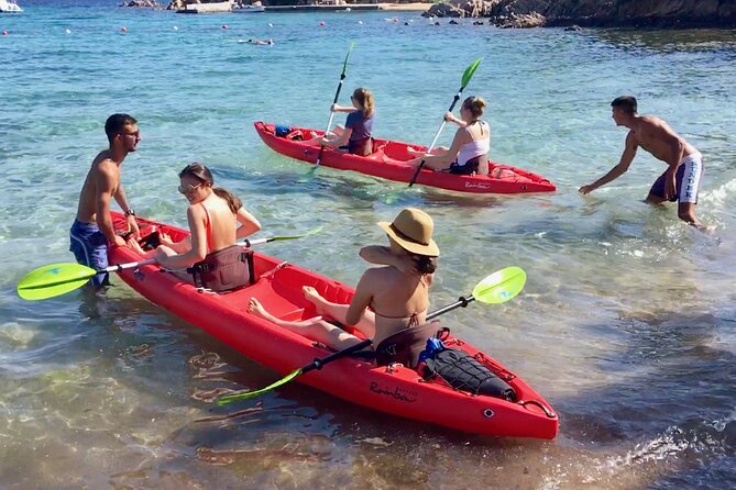 Small Group Kayak Tour With Snorkeling and Fruit - Wildlife Viewing Opportunities