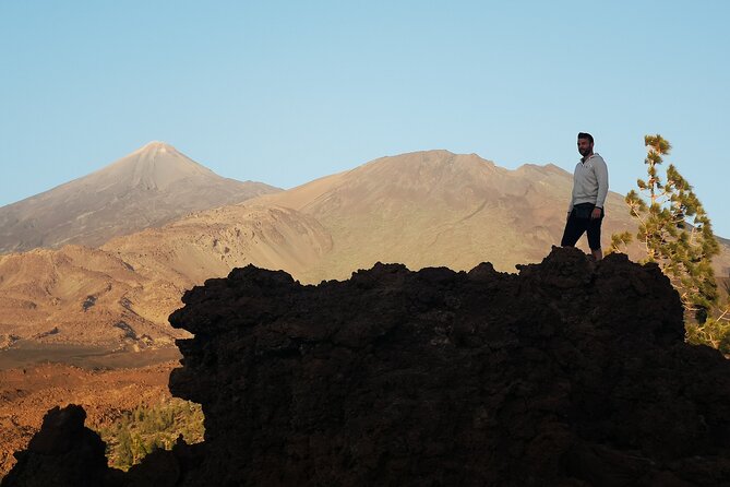 Small Group Teide National Park Volcanic and Forest Wonders - Excellent Guest Reviews