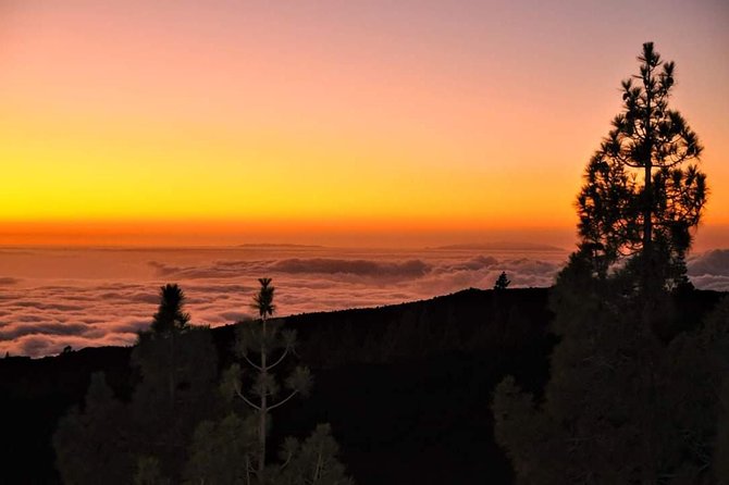 Teide National Park Sunset & Stargazing With Dinner (Star Safari) - Why Choose This Tour