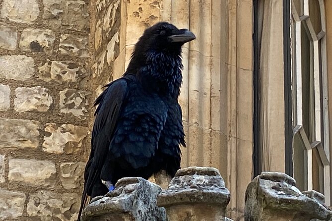 The Tower of London - Small Group Tour With a Local Expert - Included in the Price