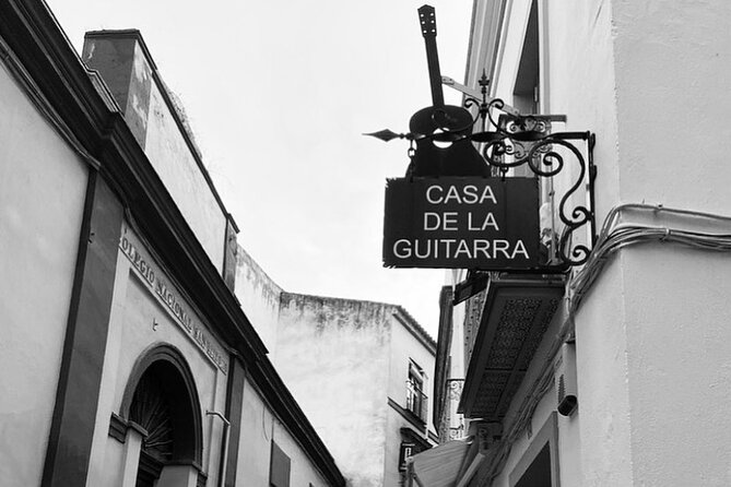 Ticket for the Flamenco Guitar Show at Casa De La Guitarra - Departure and Return Information