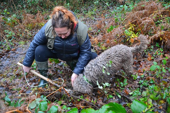 Truffle Hunting Experience With Lunch in San Miniato - Relax at the Farmhouse