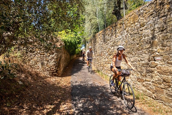 Tuscan Country Bike Tour With Wine and Olive Oil Tastings - Age and Group Size Restrictions