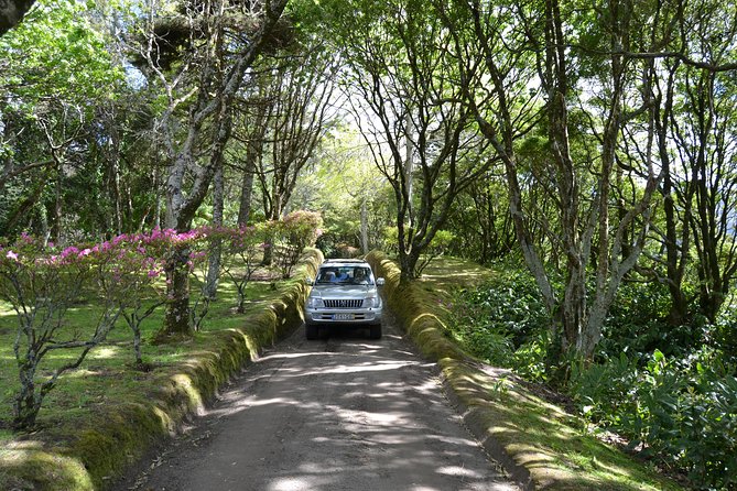 8-Hour Private Tour in 4x4 Vehicle From Ponta Delgada - Key Points