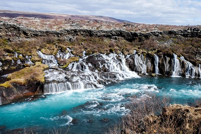 8-Day Small Group Tour Around Iceland in Minibus From Reykjavik - Whale Watching in Hauganes