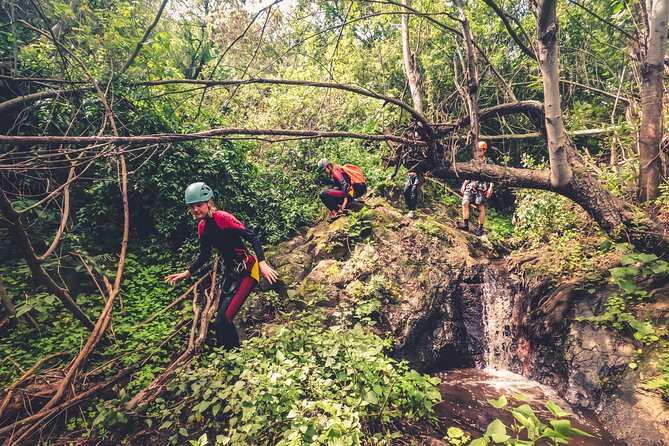 Canyoning With Waterfalls in the Rainforest - Small Groups ツ - What to Bring