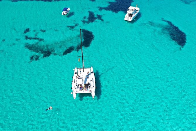 Catamaran Excursions in the Asinara Island National Park - Exploring the Marine Rescue Center