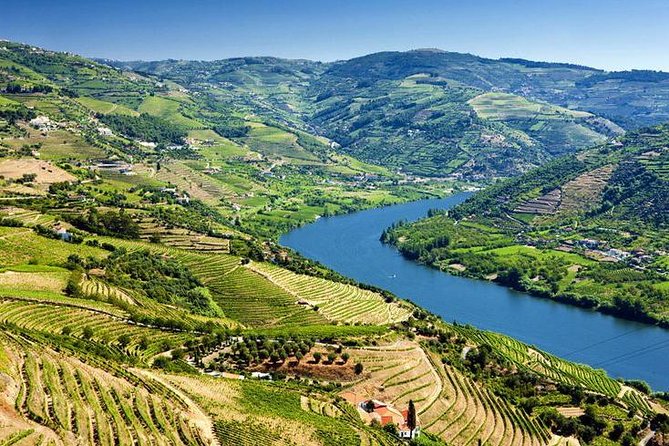 Complete Douro Valley Wine Tour With Lunch, Wine Tastings and River Cruise - Scenic River Cruise