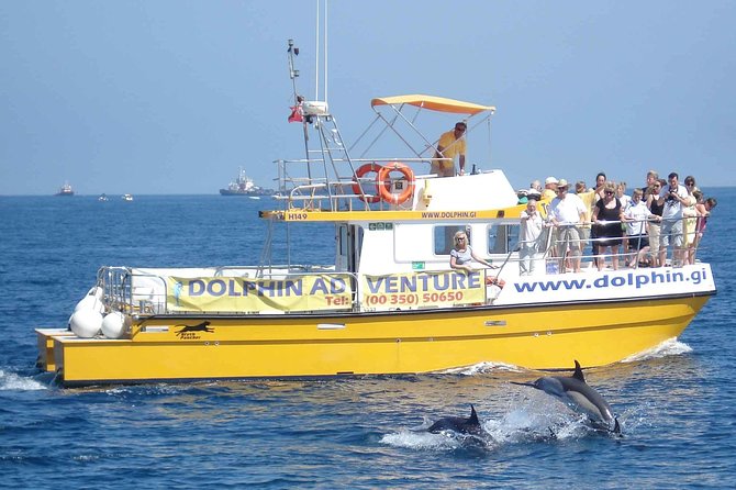 Dolphin Watching in Gibraltar & Fast Track Priority Cable Car - What to Expect