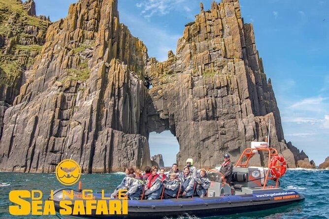 Exhilarating Rib Experience - Dingle Sea Safari - Thrill of the Speedy Rib Ride