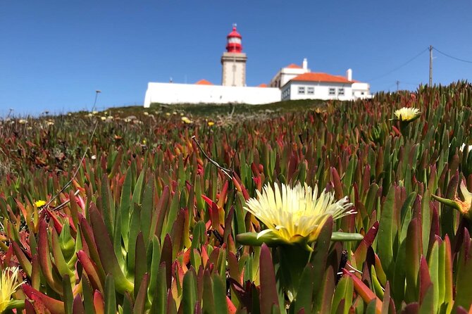 Full Day Tour: Sintra, Pena Palace, Cabo Da Roca, Cascais - Discovering Cabo Da Roca and Cascais