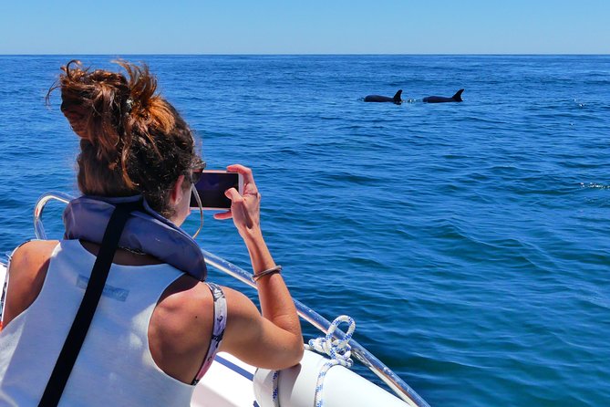 Small Group Dolphin and Wildlife Watching Tour in Faro - Additional Considerations