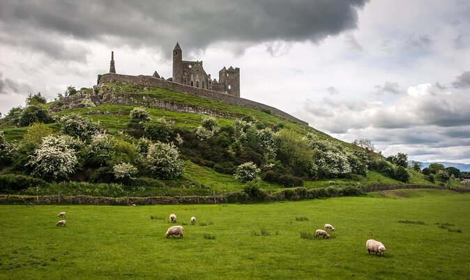Blarney Castle Day Tour From Dublin Including Rock of Cashel & Cork City - Just The Basics
