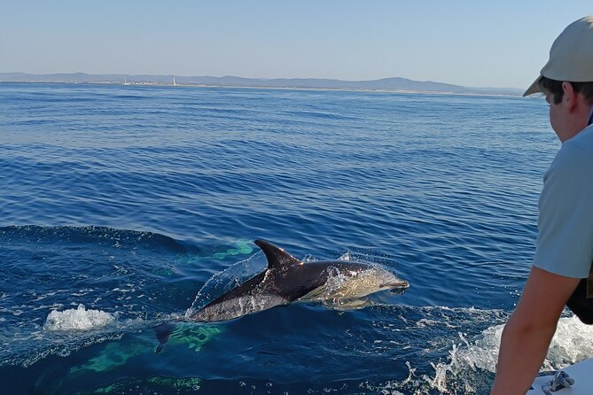 Dolphin Watching + 2 Islands Tour - From Faro - Key Points