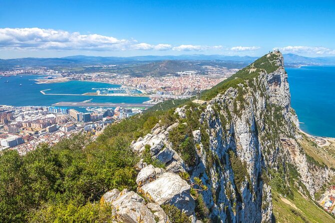 Dolphin Watching in Gibraltar & Fast Track Priority Cable Car - Key Points
