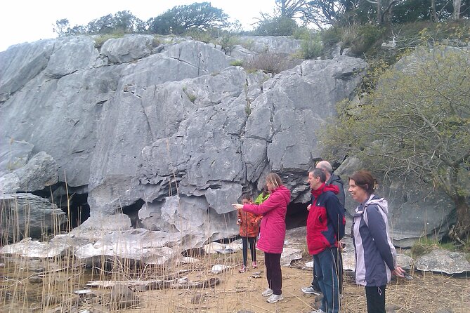 Guided Killarney National Park Walking Tour - Overview and Tour Details
