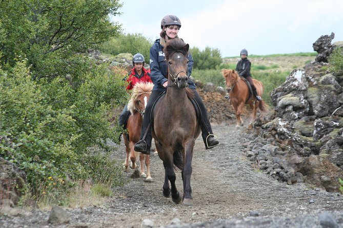 Icelandic Horseback Riding Tour From Reykjavik - Just The Basics