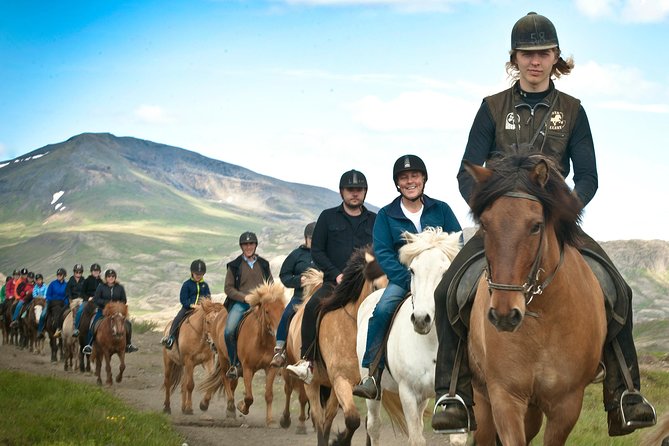 Icelandic Horseback Riding Tour Including Pick up From Reykjavik - Just The Basics
