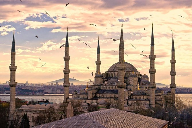 ISTANBUL PRIVATE TOUR FROM CRUISE SHIP/Hotel - Just The Basics