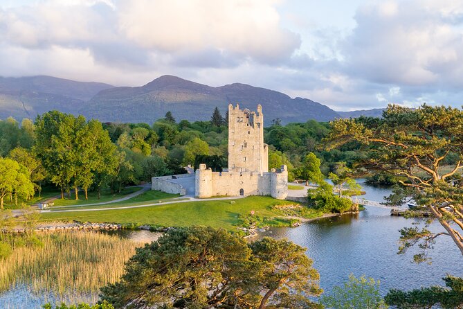 Jaunting Car Tour to Ross Castle From Killarney - Key Points