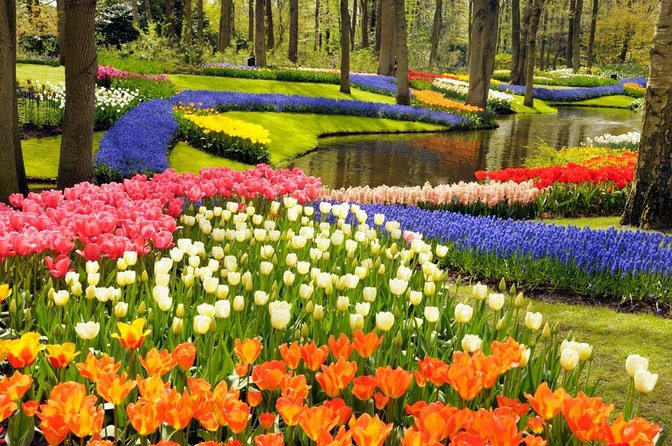 Keukenhof Ticket With Roundtrip Shuttle Bus From Amsterdam - Key Points