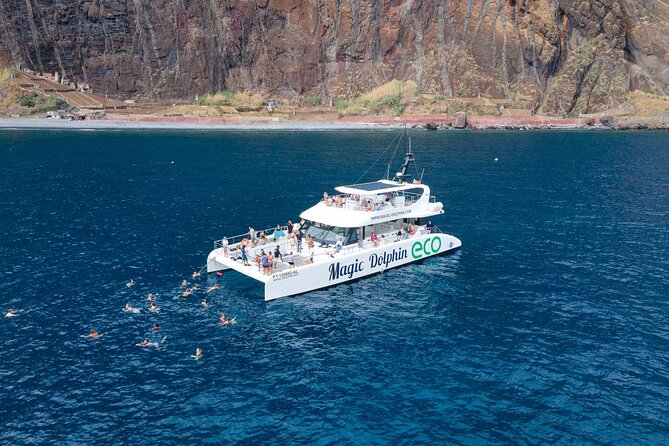 Madeira Dolphin and Whale Watching on a Ecological Catamaran - Just The Basics