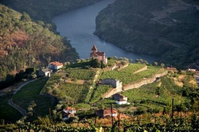 Port and Douro Wine Walking Tour With 10 Tastings - Key Points