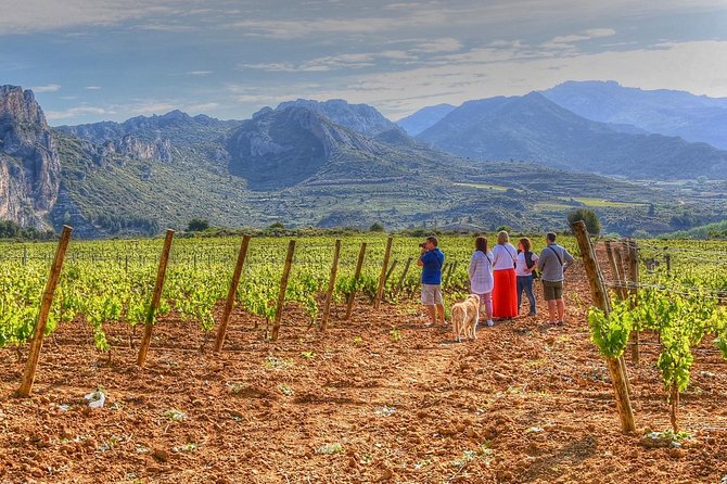 Rioja Like A Native Wine Tour - Key Points
